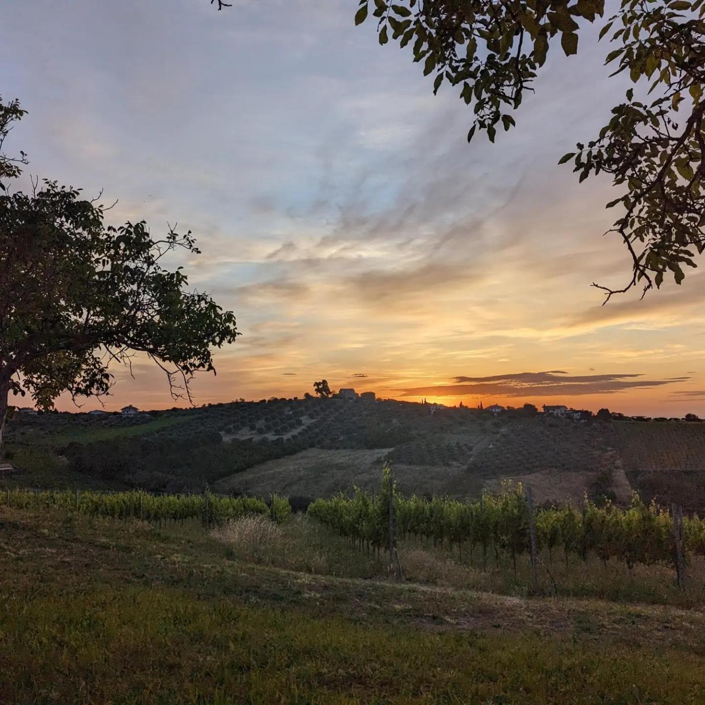Agriturismo Torre Mannella - La Loggia Читта Сань Анджело Экстерьер фото